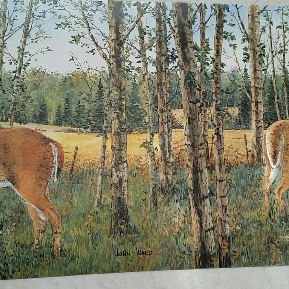 Wallpaper Border - Whitetail Buck Deer Cabin